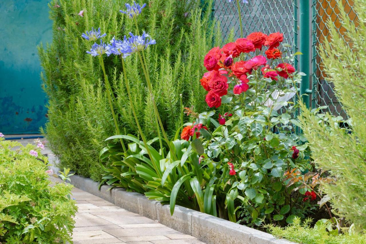 Garden Apartment ヴェラ・ルカ エクステリア 写真