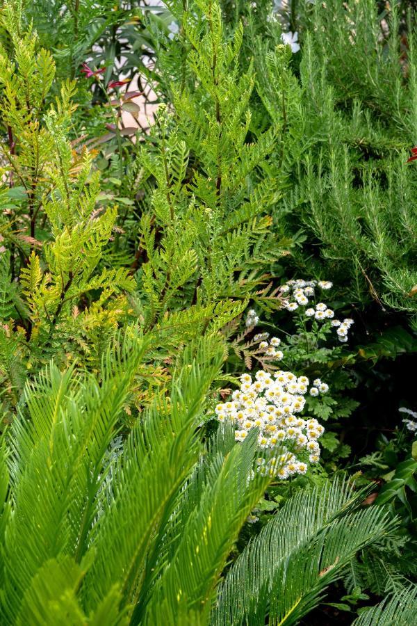 Garden Apartment ヴェラ・ルカ エクステリア 写真