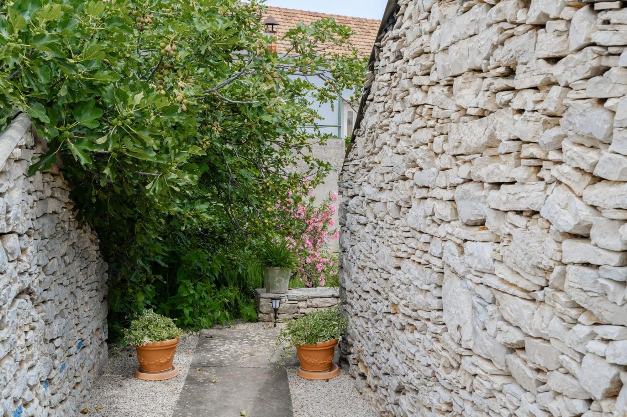 Garden Apartment ヴェラ・ルカ エクステリア 写真